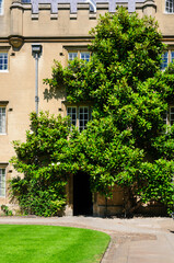 old house in the garden