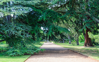 footpath in the park