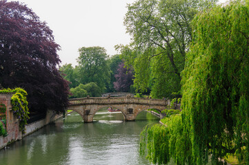 the river in the park