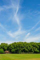 landscape with trees and sky