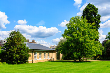 the park