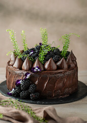 Chocolate Cake with blackberries on top on a wooden table. Birthday cake. Beautifully decorated.