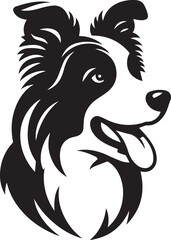 Border collie icon isolated on a white background. Border collie logo illustration.