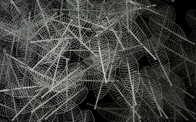 Dark Gray vector abstract backdrop with flowers, leaves.