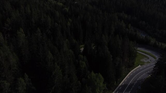 Winding Road Through the Mont Blanc Forest