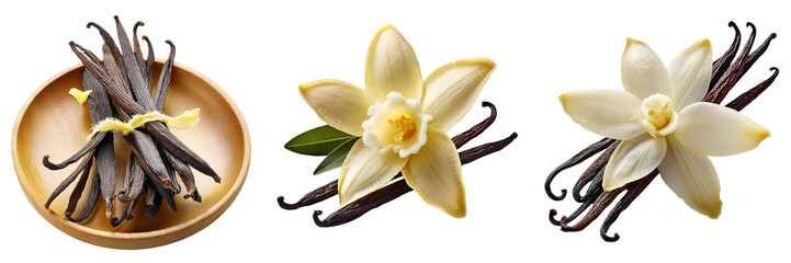 vanilla beans isolated on transparent background