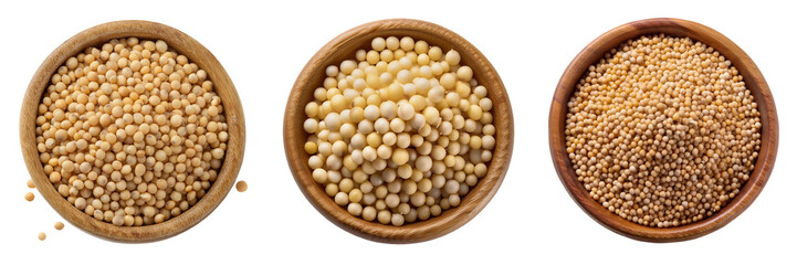 white mustard seed isolated on transparent background