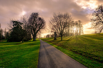 Spokojny Zachód Słońca nad Wiejską Drogą © Monty Payken