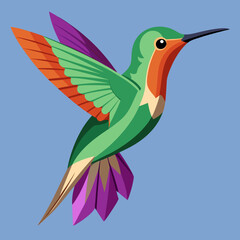 Obraz premium Colibri