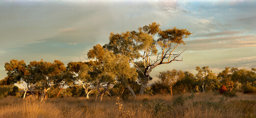 Karijini Landscape, Western Australia