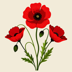 red poppy flowers