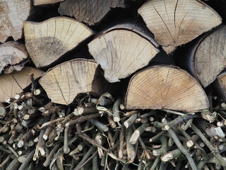 A pile of wood used as an insect hotel or for heating