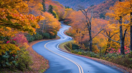 Fototapeta premium Winding road surrounded by vibrant autumn foliage