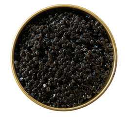 Black caviar in an open tin can with spoon on a white background. Top view. Gourmet seafood delicacy.