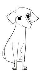 Obraz premium white sheep dog