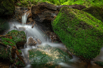 Stribrny creek in Krusne mountains in hot summer day