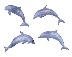 Watercolor dolphin silhouette illustrations isolated with transparency © HTGanzo