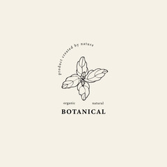 Hand drawn stevia leaves logo