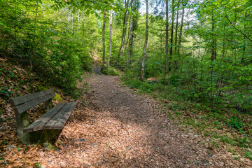 Leisurely hike in early summer at Rottachsee in the Allgau