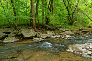 Fast moving creek in the forest