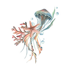 Jellyfish, coral, starfish and bubbles. Hand drawn watercolor illustration on the theme of sea animals and the underwater world. Composition isolated from the background.