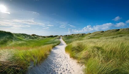 Tranquil white sand path through lush grass field in wide-angle view for nature lovers.