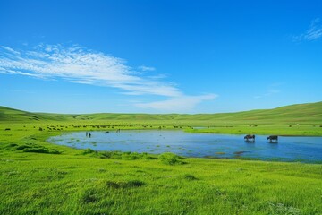 Obraz premium vast grassland of River is covered with green water, surrounded by endless prairie and grazing cattle on both sides
