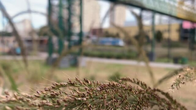 Parque en el que pasa el tren - Park where the train passes
