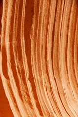 Closeup of the eroded wall of a sandstone cliff