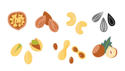 Nuts and seeds set. Peanut, walnut, sunflower seeds, pistachio, cashew, chazelnut and almond. Trendy modern vector illustration isolated on white background, hand drawn, flat design