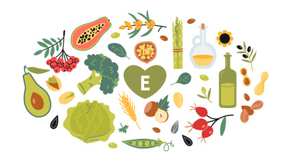 Set with Best sources of vitamin E foods. Fruits, vegetables, nuts, berries and oil. Isolated vector illustration, hand drawn, flat design