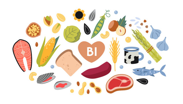 Best sources of vitamin B1 foods. Vegetables, fish, meat, dairy products and nuts set. Isolated vector illustration, hand drawn, flat design