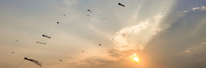 Kites flying high at sunset during the International Kite Festival, representing Uttarayan and the diversity of Indian culture