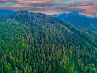 Tatra mountains in the summer, view of the polish Tatra and  top of Nosal.. Panorama of polish mountains in the holiday for trekking, Zakopane, Poland