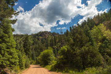 steep granite bluffs covered in pine and spruce trees with narrow graveled back road curving between the bluffs  in Colorado; concepts of adventure, scenic byway and road less traveled
