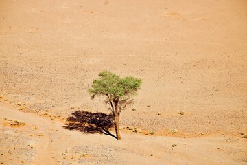 Namib Wüste und Sossusvlei