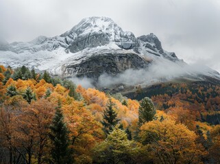 Alps with snow-covered peaks and autumn-colored forests