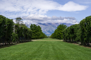 The mountains from the Gardens of Royal Venaria Palace
