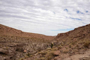 landscape in the desert