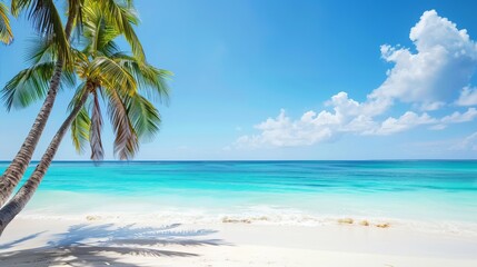 A tranquil beach setting displaying gently swaying palm trees, inviting turquoise water, and soft white sand basked in sunlight under a bright blue sky with scattered clouds.