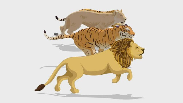 Tiger, loin and loiness running amation video
