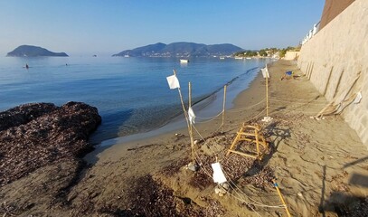 Loggerhead sea turtle (caretta caretta) nest protection on beach in Zakynthos Greece