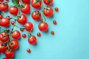 Fresh Red Tomatoes on a Vibrant Blue Background