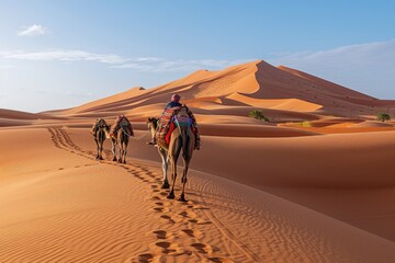 Camel caravan crossing sand dunes in desert at sunset.