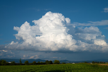 a large cumulus cloud over a sugar beet field, in the background the Bavarian Forest, Lower...