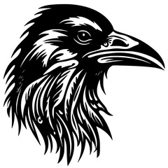 Raven