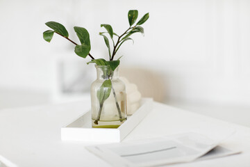 Fresh natural branches with green leaves in transparent glass vase with water stand at tray, journal with mock up on white table, in light room. Minimalistic still life decor of modern design interior