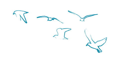 Blue flying seagulls. hand drawing. Not AI. Vector illustration