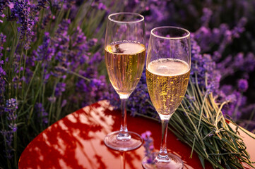 Two glasses of champagne in a lavender field romantic meeting, date