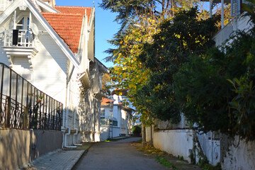 Streets of Buyukada, Turkey, Istanbul.